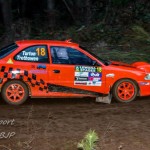 Lewana Stages Excel rally car