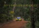 Ben Searcy/Jimmy Marquet spectacular scenery on the 2019 Darling 200 rally