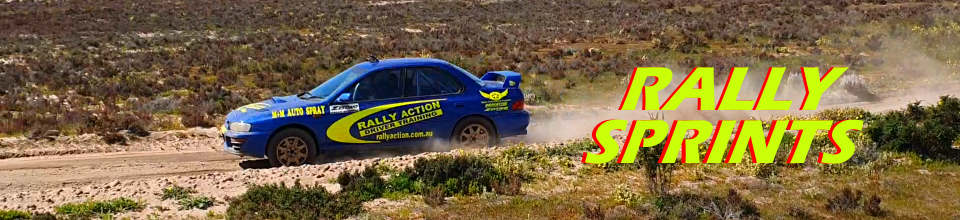 Rally Action Driver Training